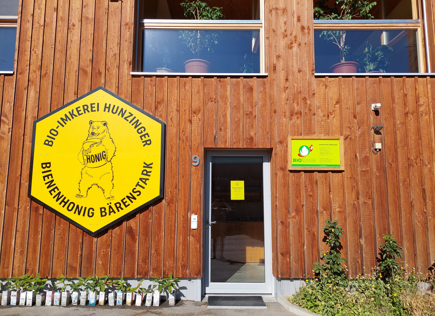 Honig in diversen Sorten